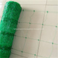 Pea and Bean support netting